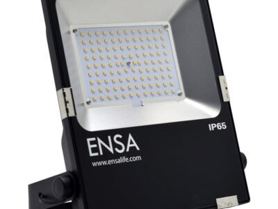Professional 50W LED Flood Light (5000K)