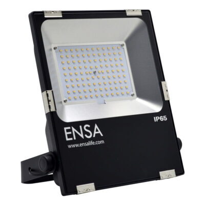 Professional 50W LED Flood Light (5000K)