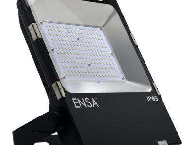 Professional 100W LED Flood Light (5000K)