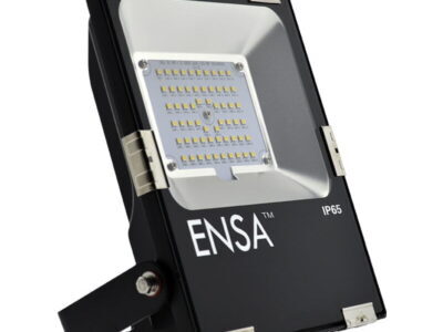 Professional 30W LED Flood Light (5000K)