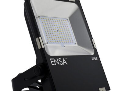 Professional 80W LED Flood Light (5000K)