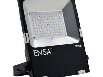 Professional 50W LED Flood Light (3000K)